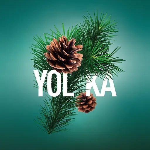 Yolka